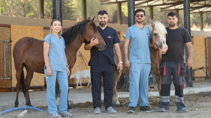 İzmir’de Sahipsiz At ve Eşeklere Yeni Yuva - Adana Mersin