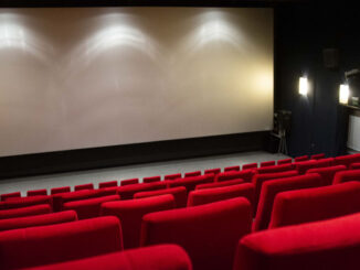 Leyli Sanat Derneği, Sinema Festivalini Değerlendirdi - Adana Mersin