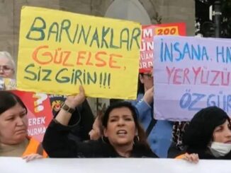 Hayvan hakları için dayanışmanın yılı olsun - Adana Mersin
